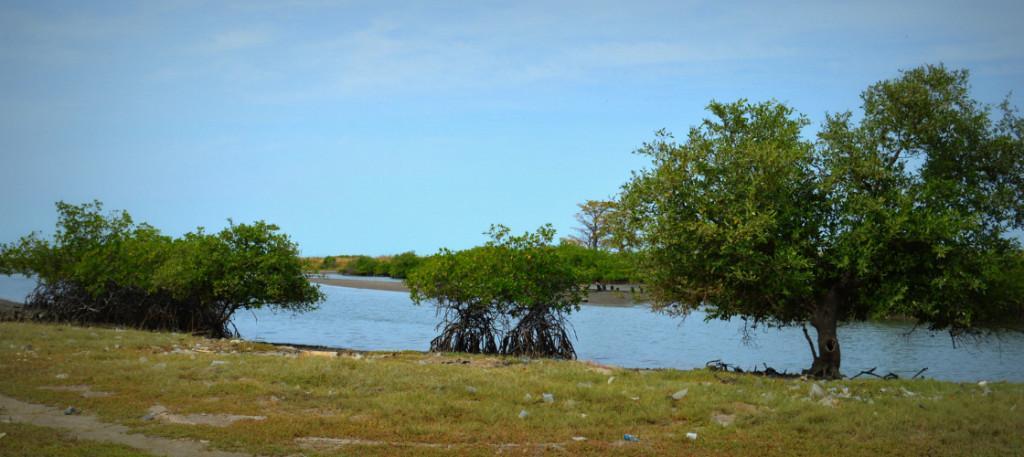 Barra Gambia