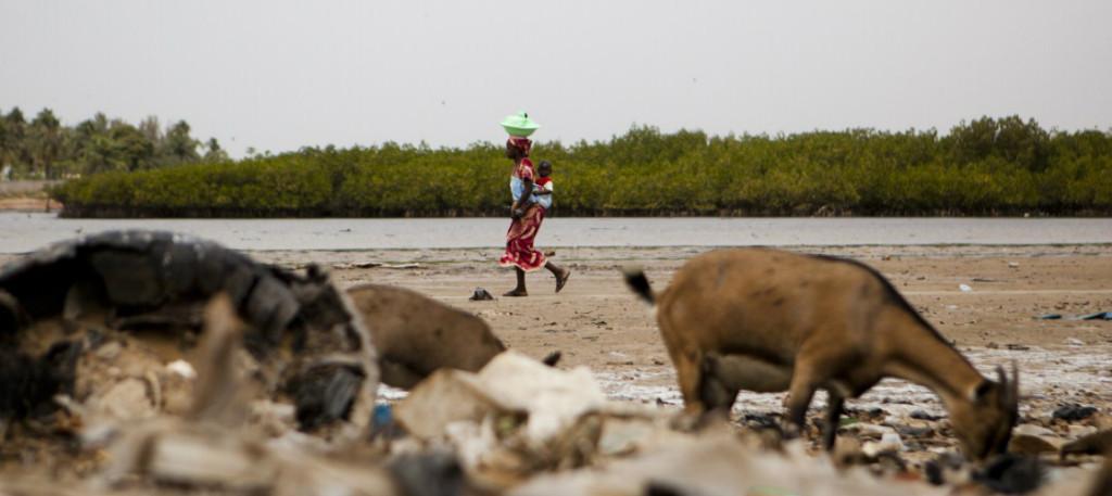 THE GAMBIA
