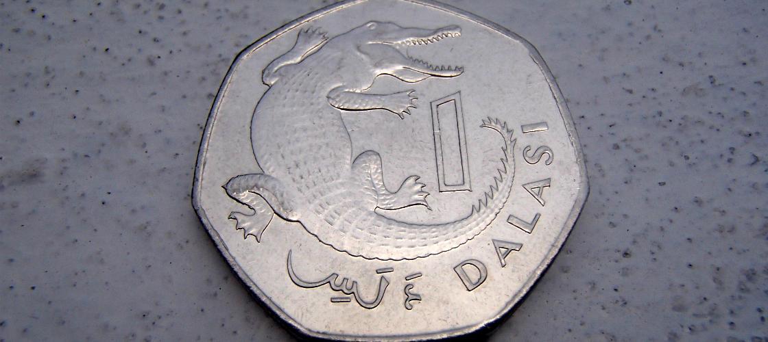gambian dalasi